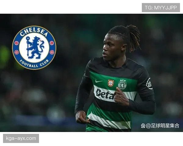 德甲转会市场聚焦中场新星，未来之星蓄势待发