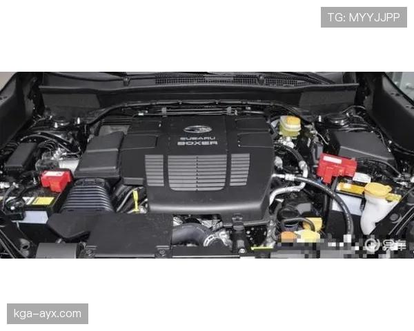 安德莱赫特数据分析